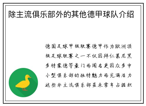 除主流俱乐部外的其他德甲球队介绍